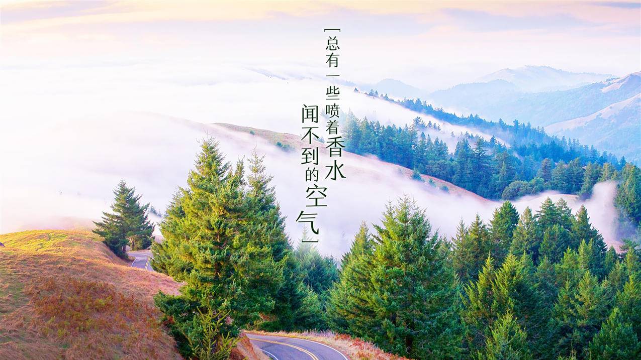qq空间说说赞秒刷5