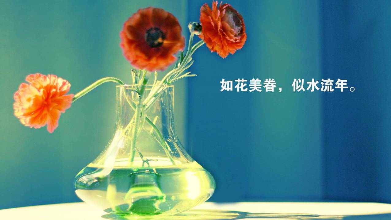 快手刷助力软 - 抖音秒刷双击评论