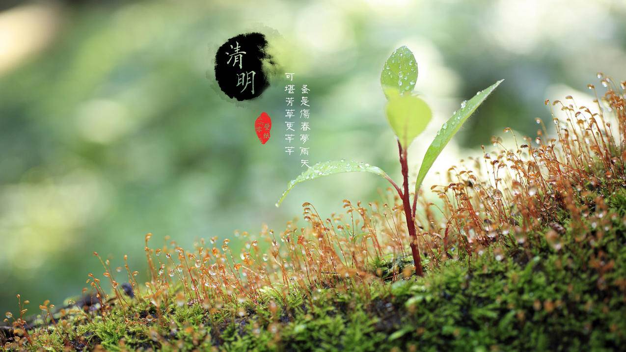 ks强哥代刷-说说浏览量,刷永久快手粉丝