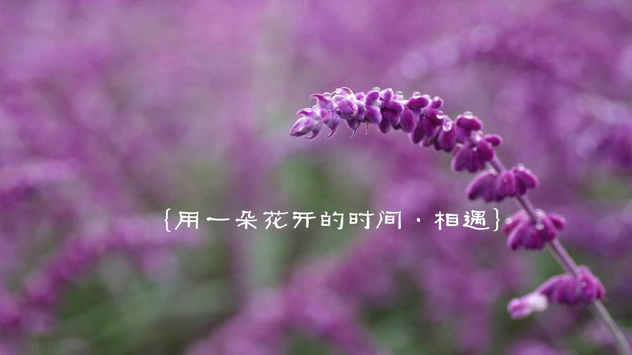 .1元一万空间人气 