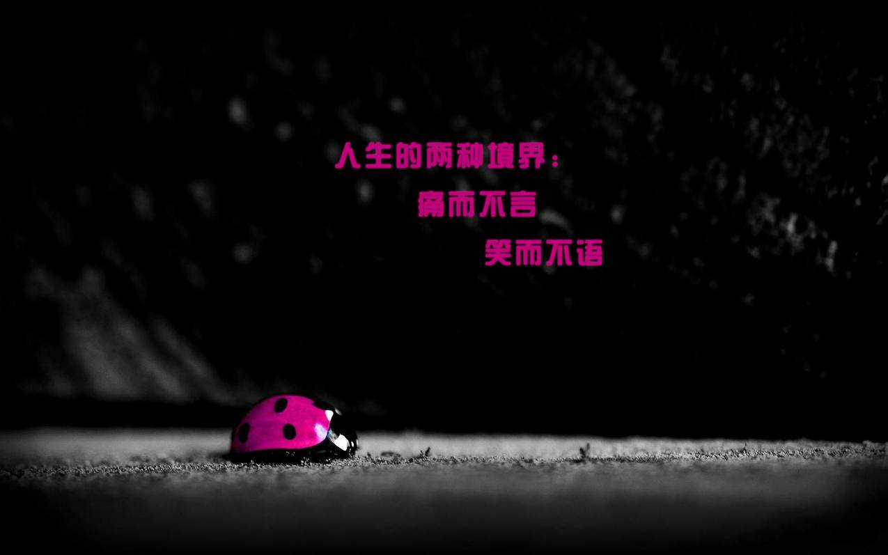 qq空间动态赞网站-超低价秒刷平台,ks刷赞网站