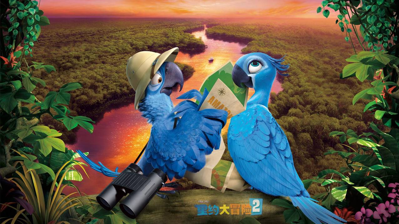 快手刷关注业务平台-