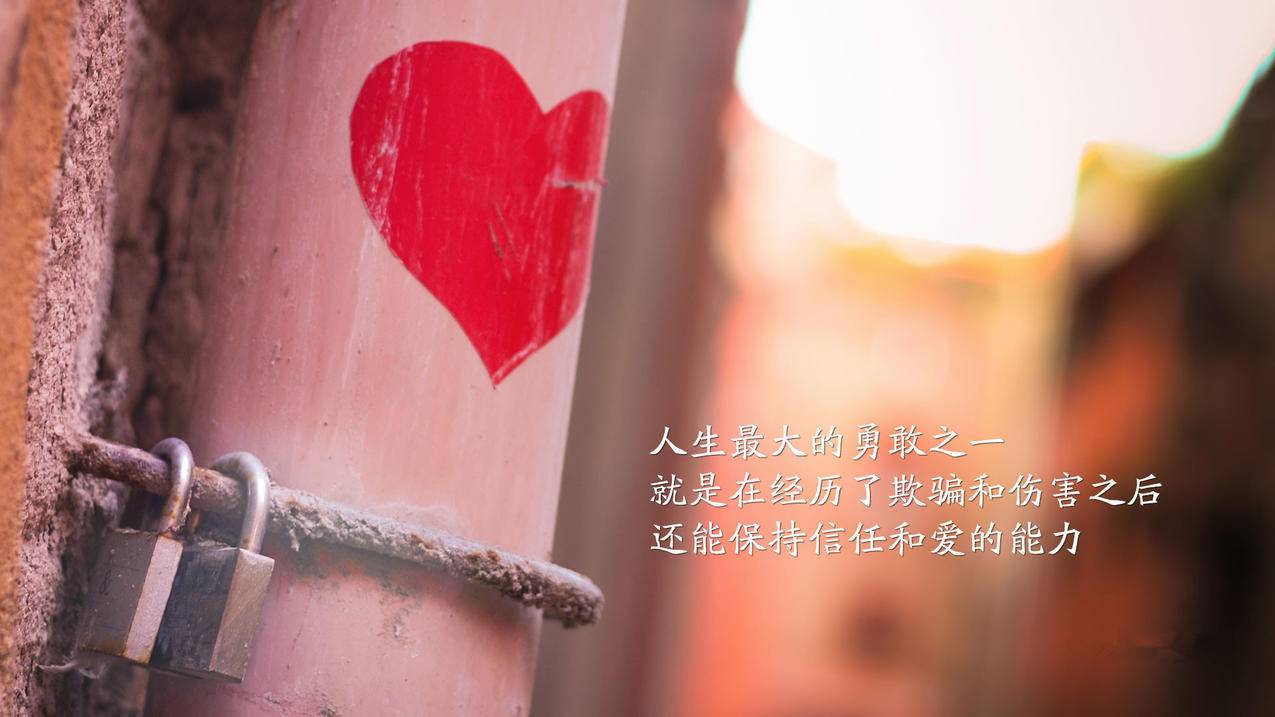 清风快刷网快手直播人
