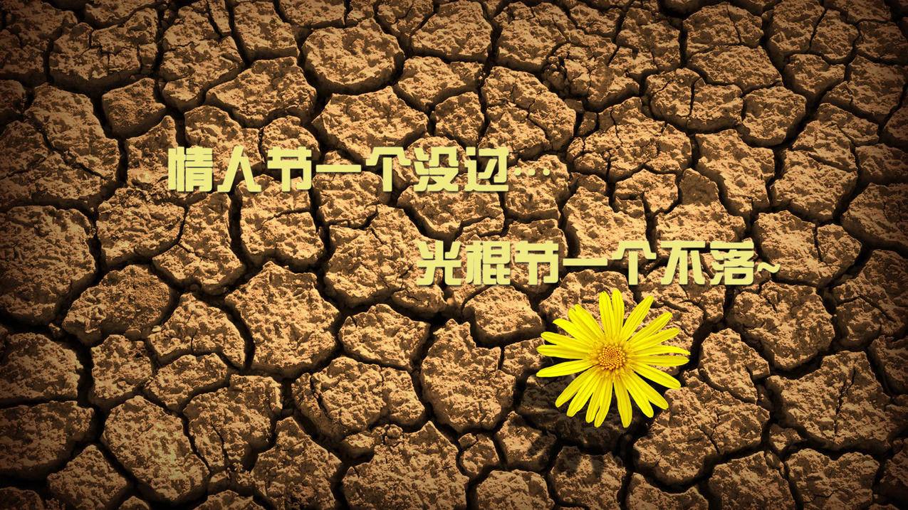 快手僵尸粉在线下单便宜-快手刷赞平台 ,快手自助下单平台24小时
