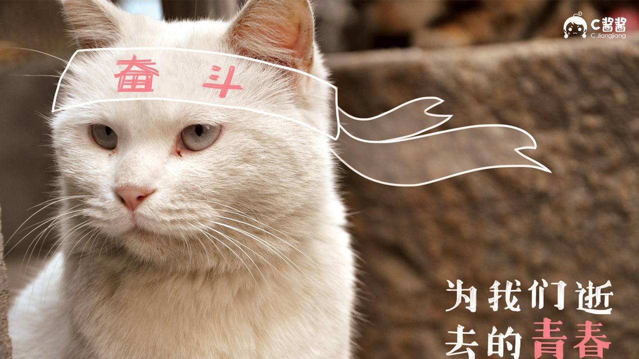 在线刷空间留言-0元
