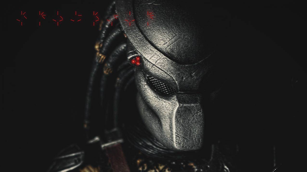 空间在线刷人气网页版-荷南代刷网站,光遇云商城自助下单平台