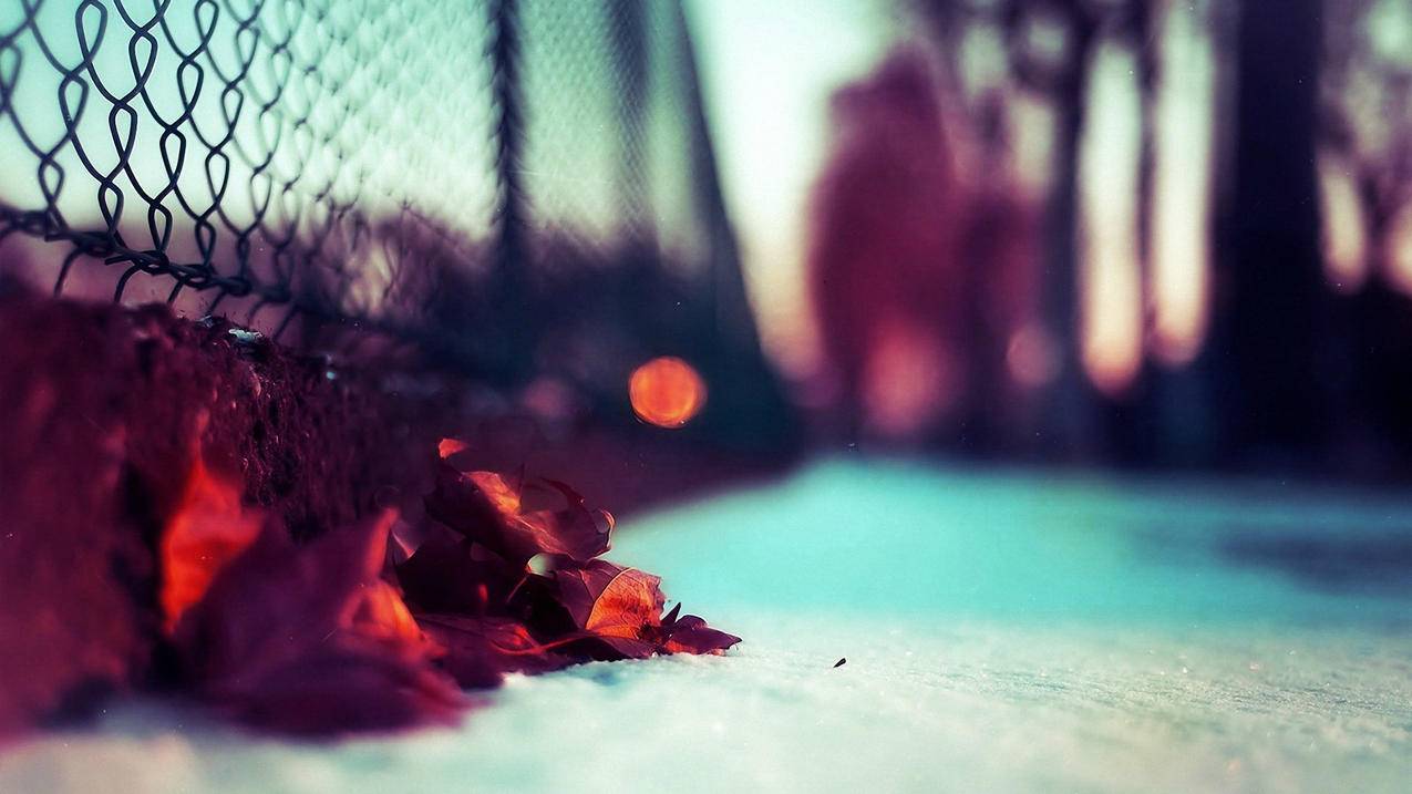 球球大作战留言板刷赞网站-QQ免费说说赞真人,阿酷科技代刷网,qq空间间刷赞