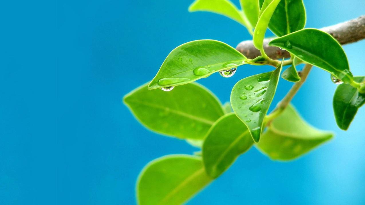 520刷赞网-qq刷