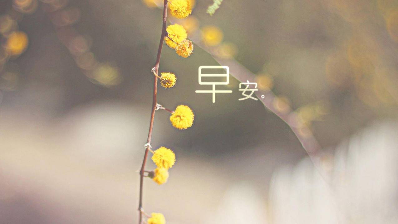 空间访客量一元一万免费-抖音买赞网站,免费说说赞,快手号永久免费网站